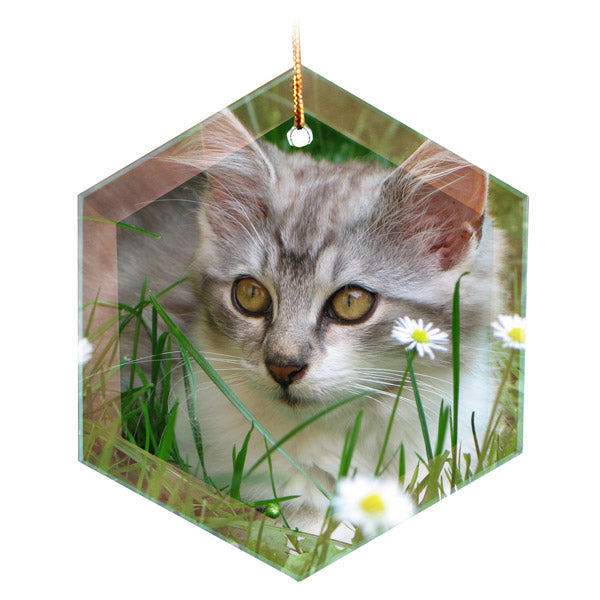 Sublimation Blank Hexagon Glass Ornaments